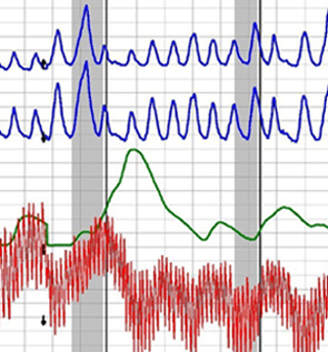 San Jose lie detector test